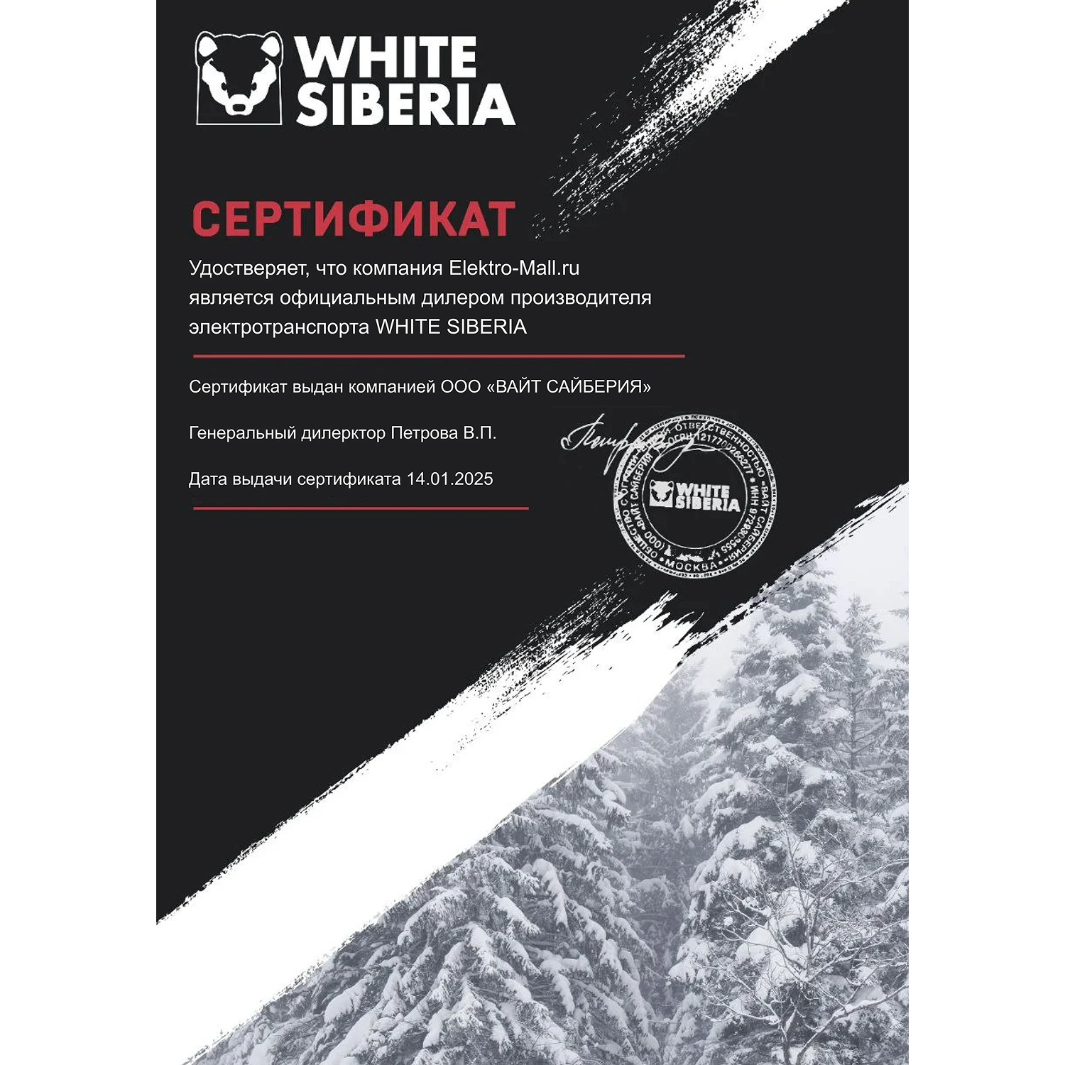 Электромотоцикл WHITE SIBERIA BELLUGA 6000W 22 Электромотоцикл WHITE SIBERIA BELLUGA 6000W 22