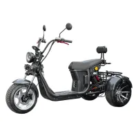 Электроскутер IKINGI M7 PRO TRIKE 3333W (Карбон)