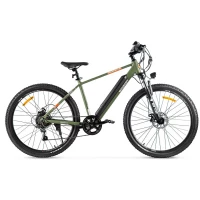 Электровелосипед Eltreco Gelbert Ran Star 1 ST Зеленый